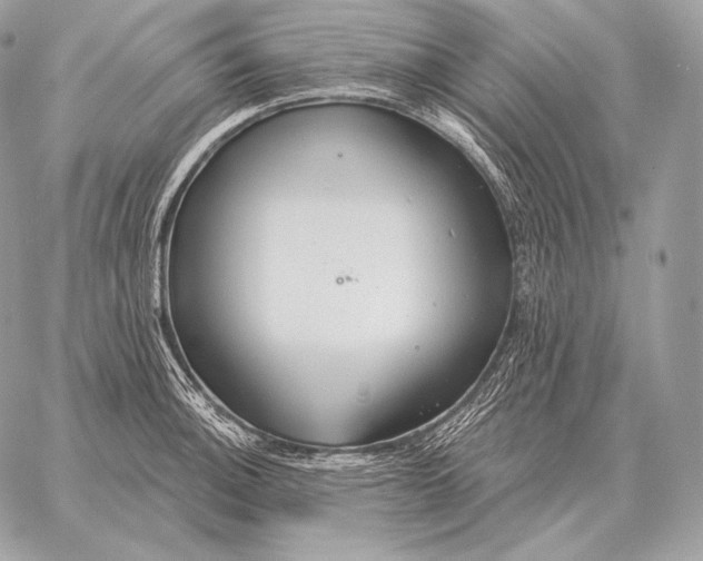 X0000059841140200511111738