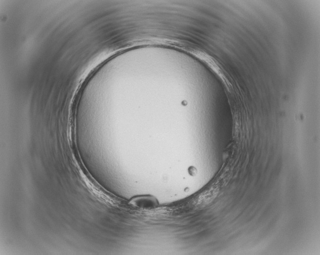 X0000059841143200511111738