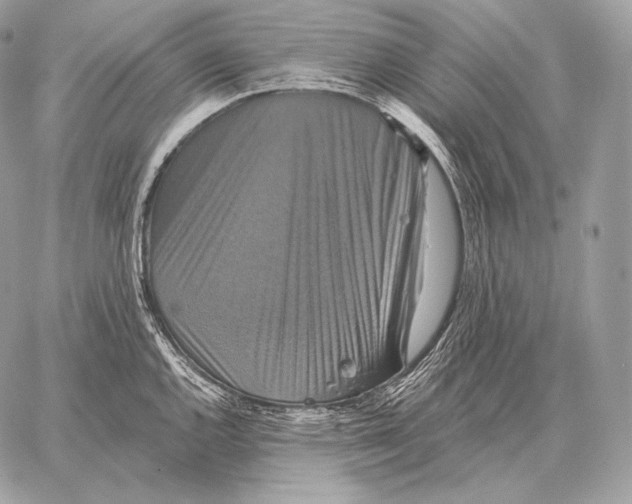 X0000059841144200511111738