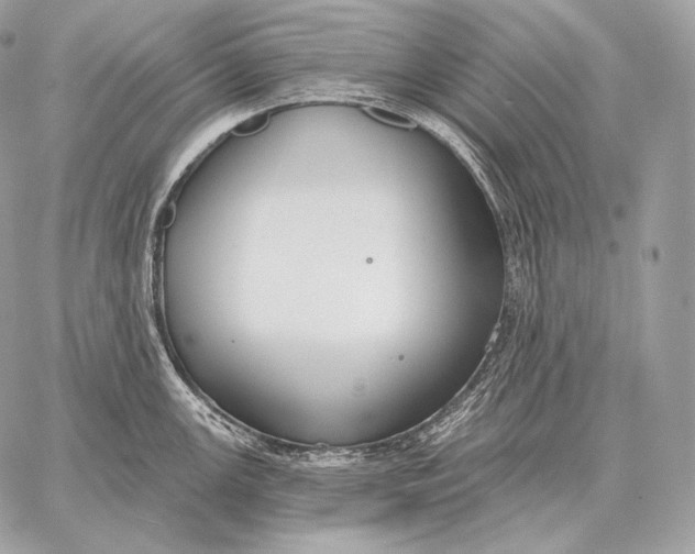 X0000059841147200511111738