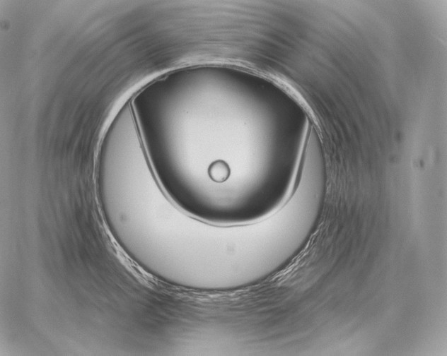 X0000059841148200511111738