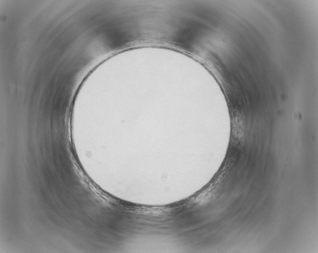 X0000059841150200511111738