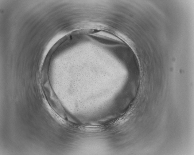 X0000059841152200511111738