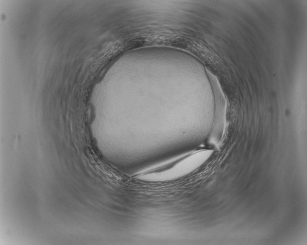 X0000059841153200511111737