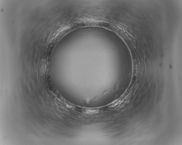 X0000059841157200511111737