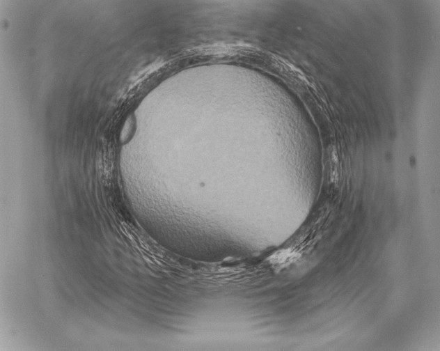 X0000059841158200511111737