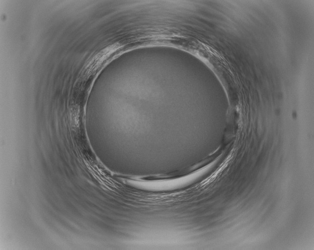 X0000059841161200511111737