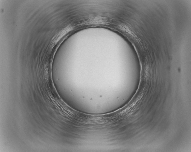 X0000059841162200511111737