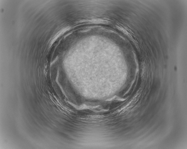 X0000059841163200511111737