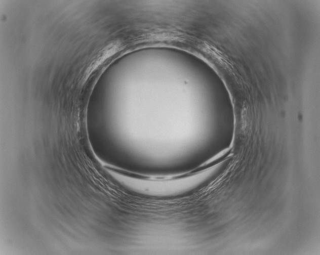 X0000059841165200511111737