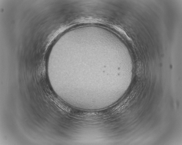 X0000059841167200511111737