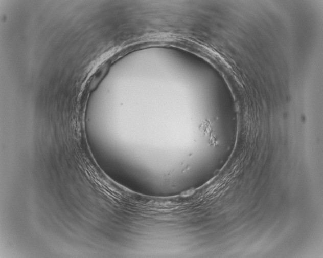 X0000059841168200511111737