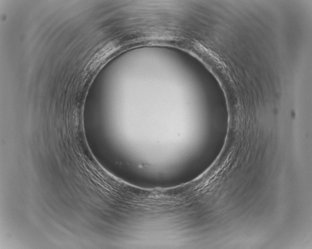 X0000059841169200511111737