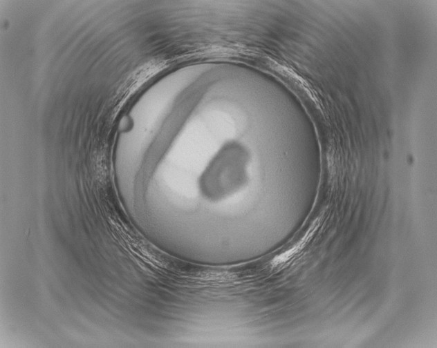 X0000059841170200511111737