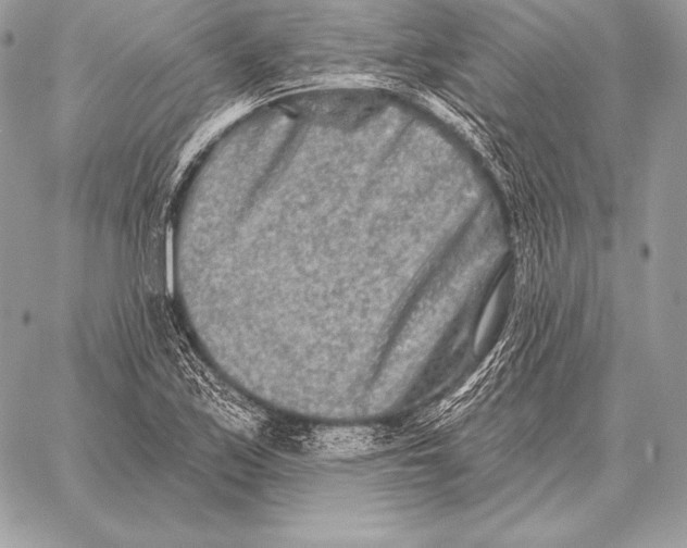 X0000059841171200511111737