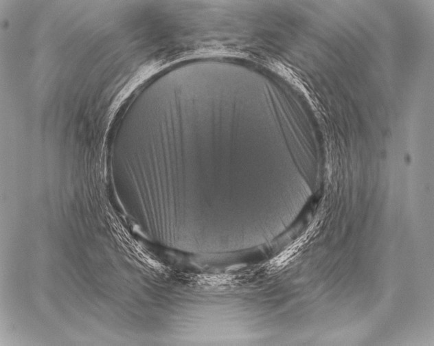 X0000059841173200511111737