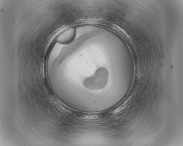 X0000059841174200511111737