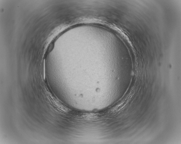 X0000059841175200511111737