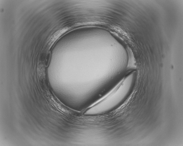 X0000059841177200511111737