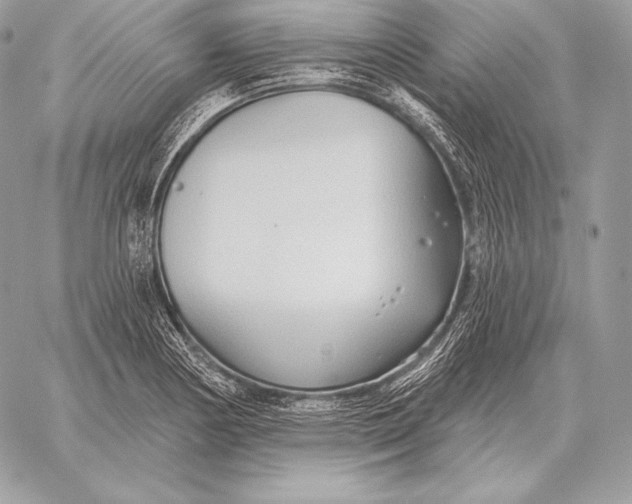 X0000059841178200511111737