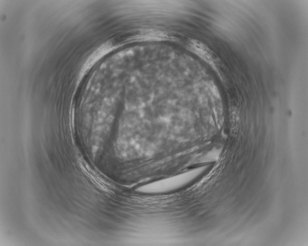 X0000059841179200511111737