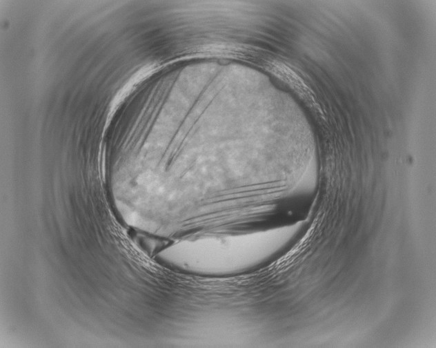 X0000059841180200511111737