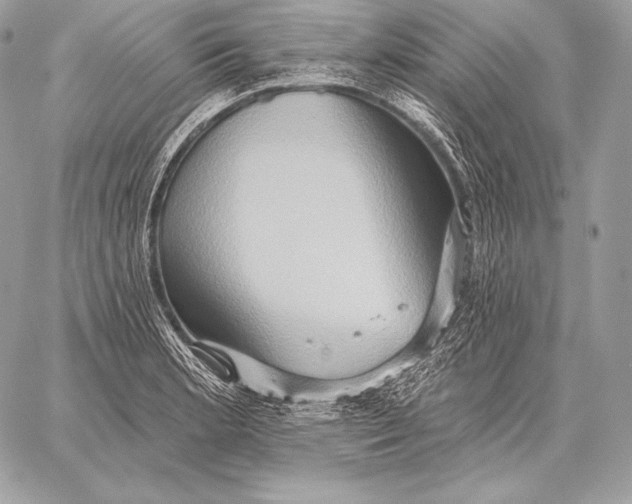 X0000059841181200511111737