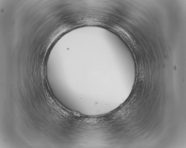 X0000059841182200511111737