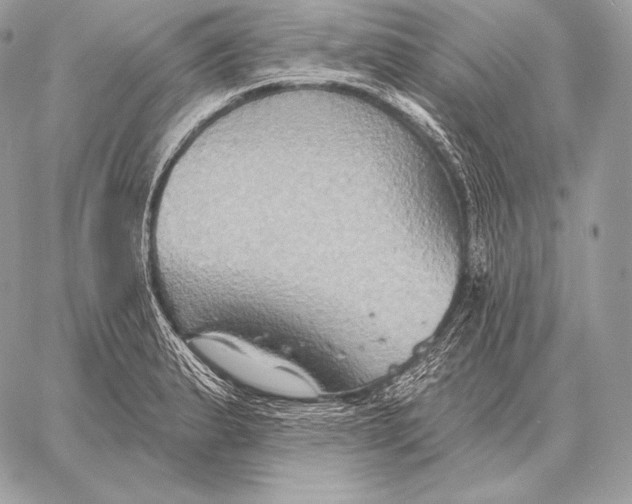 X0000059841183200511111737