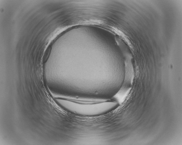 X0000059841184200511111737