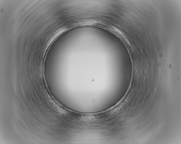 X0000059841186200511111737