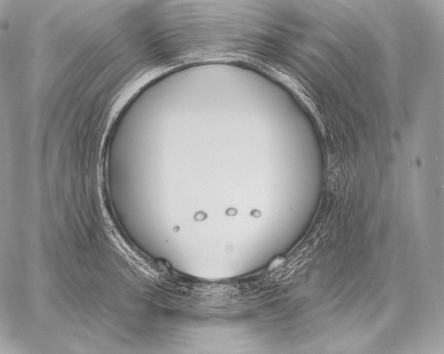 X0000059841187200511111737