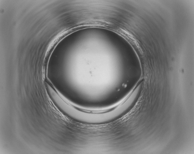 X0000059841188200511111737