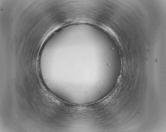 X0000059841190200511111737