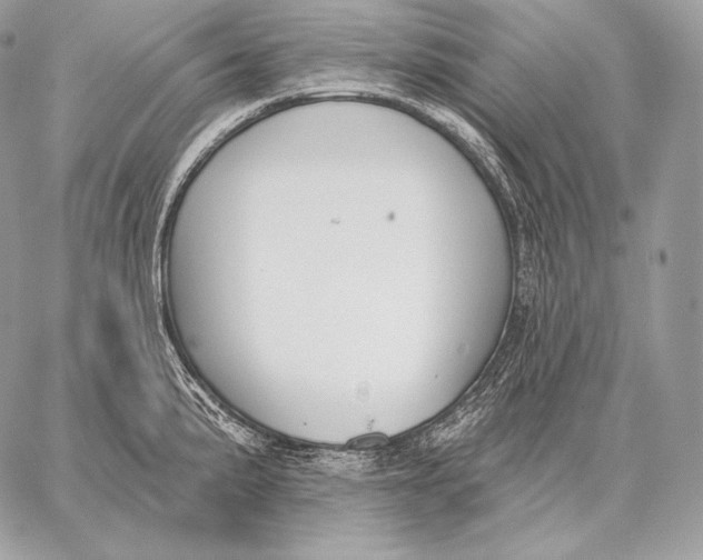 X0000059841191200511111737