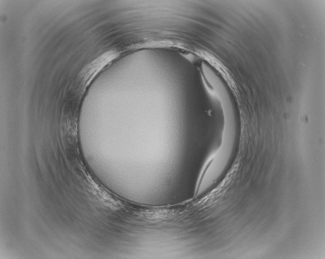 X0000059841193200511111737