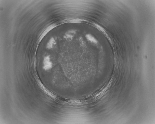 X0000059841194200511111737