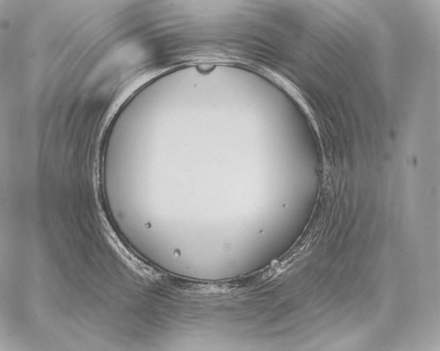 X0000059841195200511111736