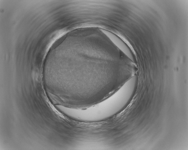 X0000059841197200511111736