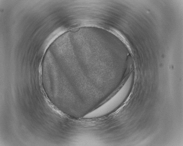 X0000059841198200511111736