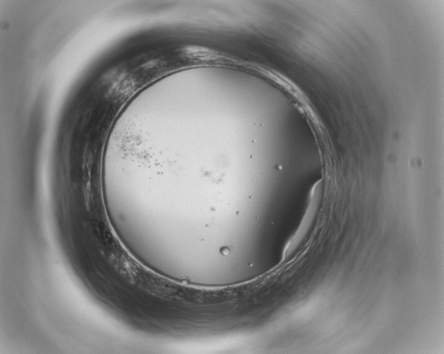 X0000059841199200511111736