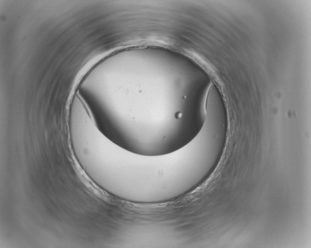 X0000059841200200511111736