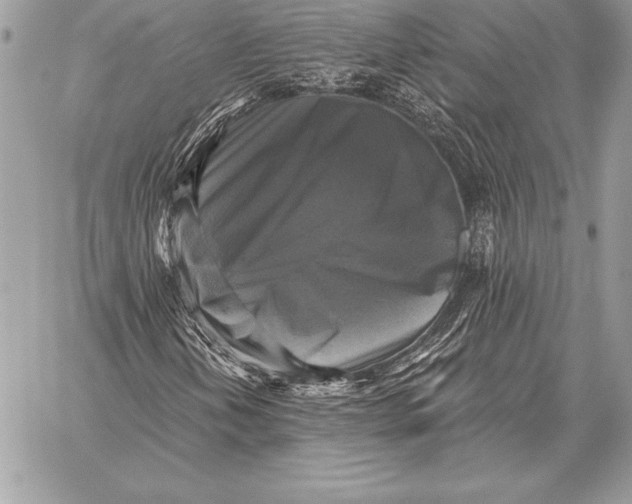 X0000059841202200511111736