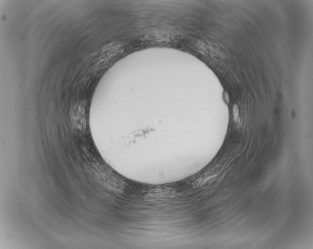 X0000059841203200511111736