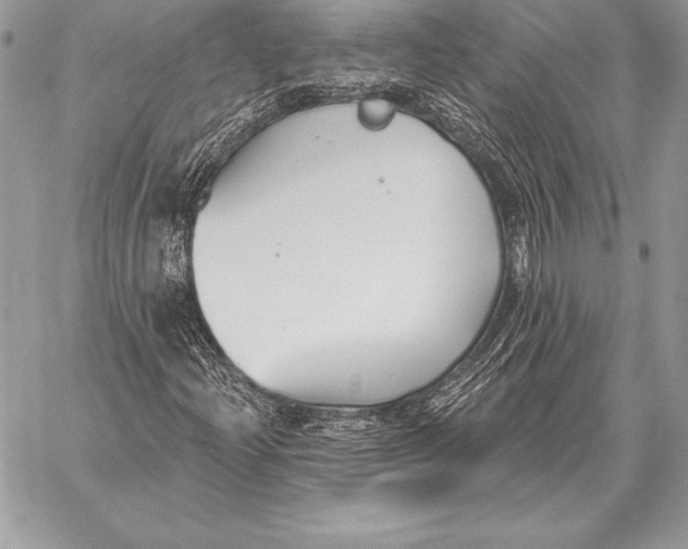 X0000059841204200511111736