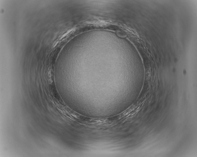 X0000059841205200511111736