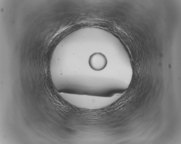 X0000059841206200511111736