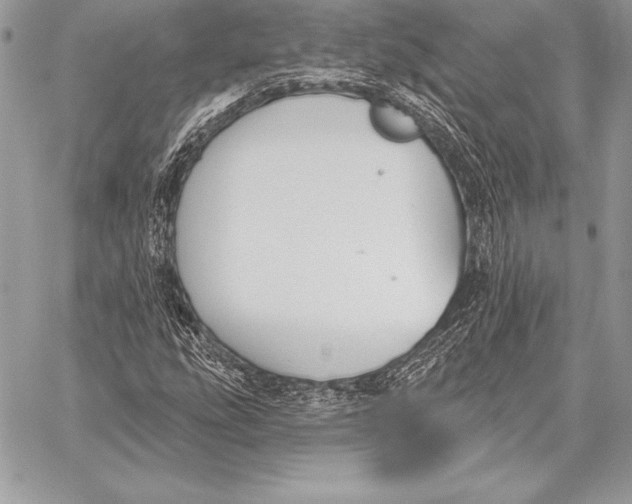 X0000059841207200511111736