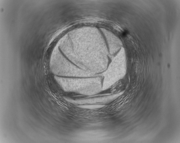 X0000059841208200511111736