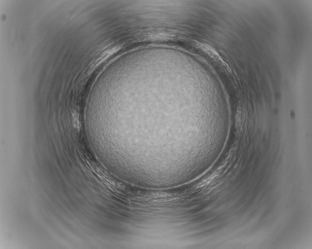 X0000059841209200511111736